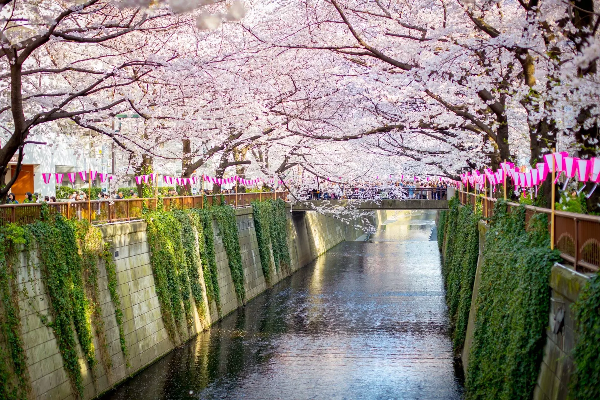 Nhà chia sẻ Tokyo Nakameguro